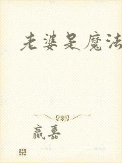 老婆是魔法少女