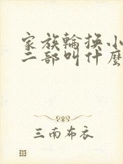 家族轮换小说第二部叫什么名字