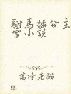 驸马插公主恋战雪小说