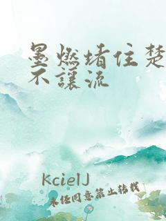 墨燃堵住楚晚宁不让流