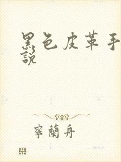 黑色皮革手册小说