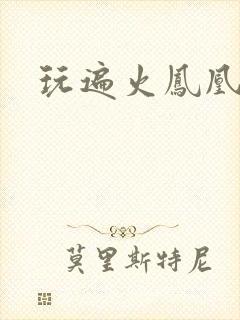 玩遍火凤凰队员