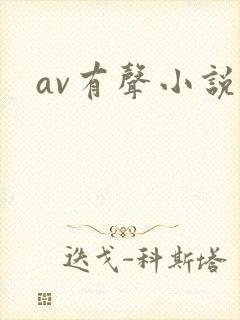 av有声小说