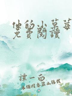 他的小草莓全文免费阅读
