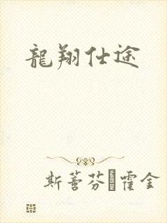 龙翔仕途