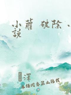 小萝 破除 小说