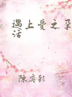 遇上爱之孕夫生活