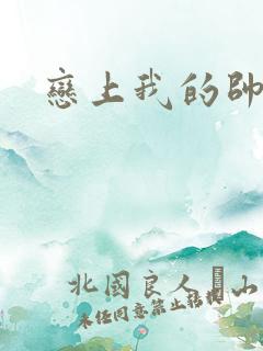 恋上我的帅和尚