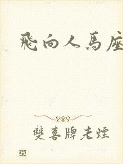 飞向人马座