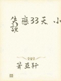 失恋33天 小说