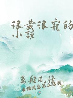 很黄很宠的总裁小说