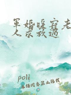 军婚暖宠老公大人求放过