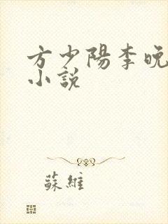方少阳李晚晴的小说