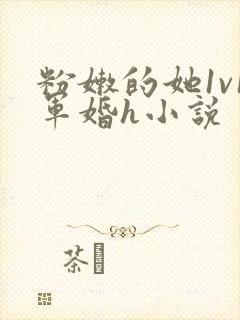 粉嫩的她1v1军婚h小说