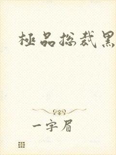 极品总裁黑道妻