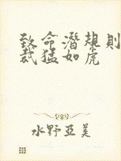 致命潜规则 总裁猛如虎