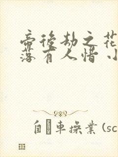 帝后劫之花开花落有人惜 小说