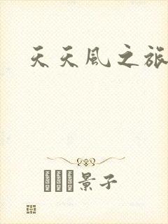 天天风之旅辅助