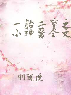 一胎二宝之弃妃小神医全文免费阅读