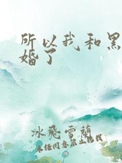 所以我和黑粉结婚了
