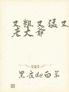 又粗又猛又大爽老大爷