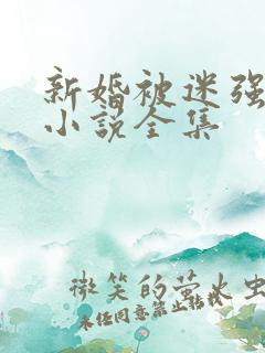 新婚被迷强系列小说全集