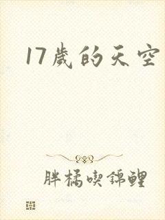 17岁的天空