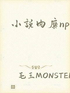 小说肉糜np