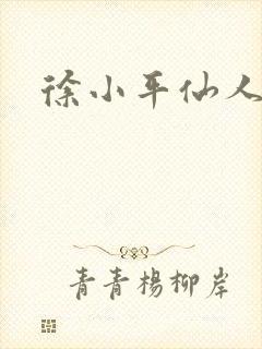 徐小平仙人指路