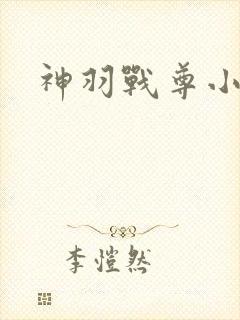 神羽战尊小说