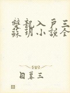 双龙入户三人行苏玥小说全文阅读