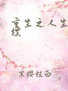 重生之人生新目标