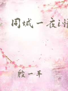同城一夜i情