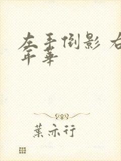 左手倒影 右手年华