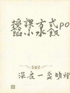 授课方式po肉馅小水饺
