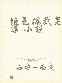 绝色总裁是我老婆 小说