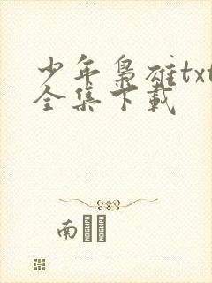 少年枭雄txt全集下载