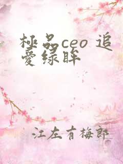 极品ceo 追爱绿眸