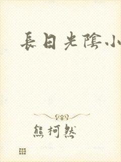 长日光阴小说