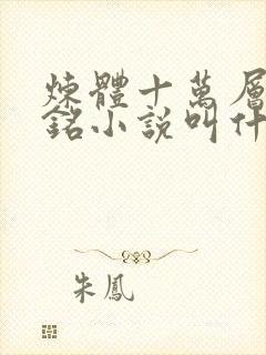 炼体十万层轩辕铭小说叫什么