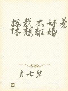 总裁不好惹女人休想离婚