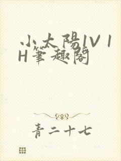 小太阳1V 1H笔趣阁