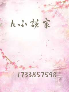 h小说家