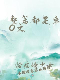 整篇都是车的PO文