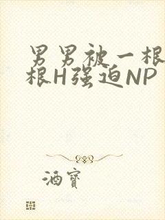 男男被一根又一根H强迫NP