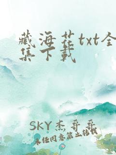 藏海花txt全集下载