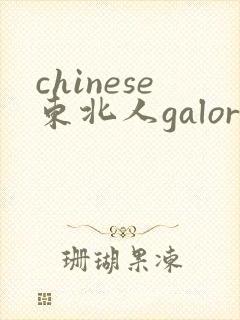 chinese东北人galore
