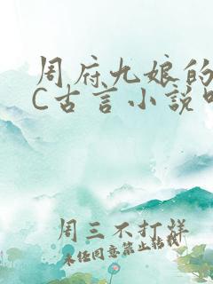 周府九娘的NPC古言小说叫什么