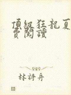 顶级狂龙夏天免费阅读