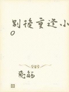 别后重逢小说po